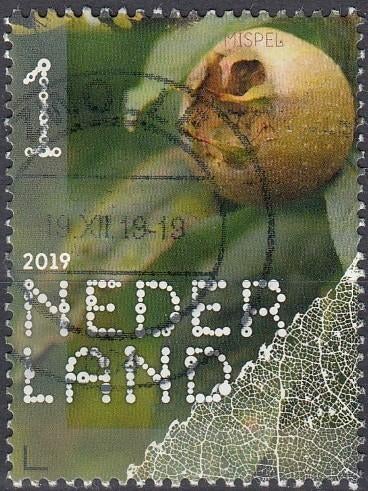 Nederland-10.25- 2019- Bomen en Bladeren- Mispel- G, Verzenden, Na 1940, Gestempeld