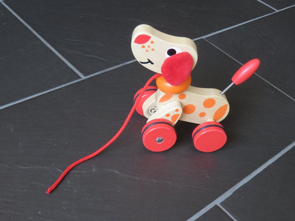 Joueco houten kwispel hond met trekkoord., Ophalen of Verzenden, Zo goed als nieuw, Duw- of Trekspeelgoed