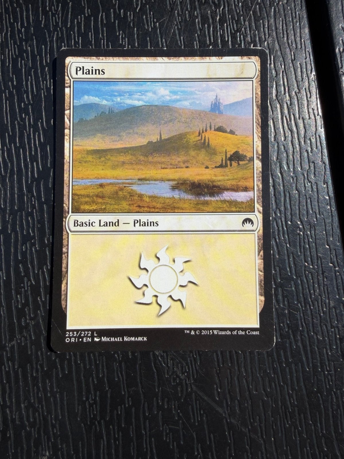 Magic: The Gathering - Plains (Basic Land) - Speelkaart, Ophalen of Verzenden, Gebruikt, Losse kaart