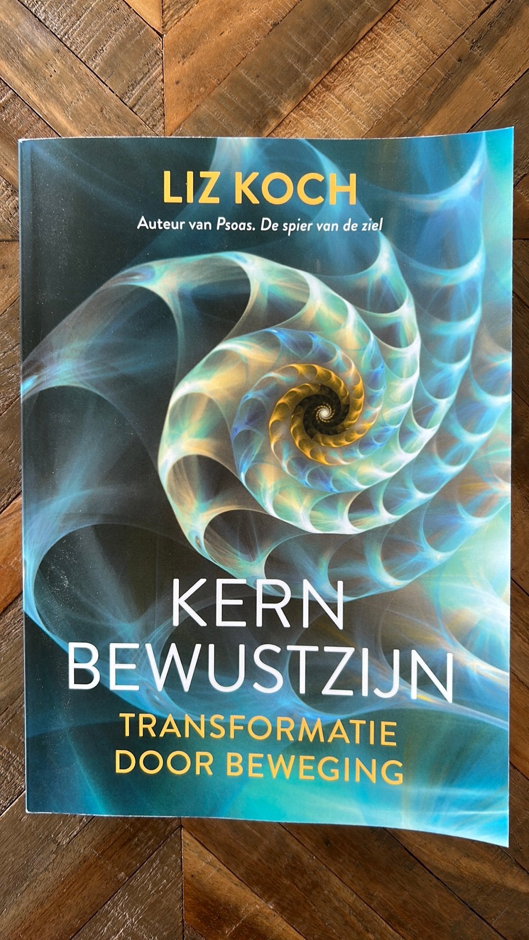 Kernbewustzijn: Transformatie door Beweging - Liz Koch, Ophalen of Verzenden, Zo goed als nieuw, Meditatie of Yoga, Instructieboek