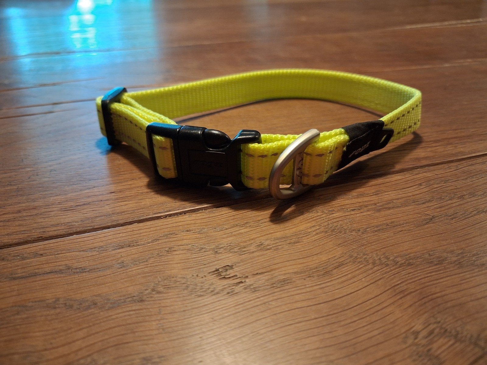 Halsband voor kleine tot middelgrote hond, Ophalen of Verzenden, Nieuw