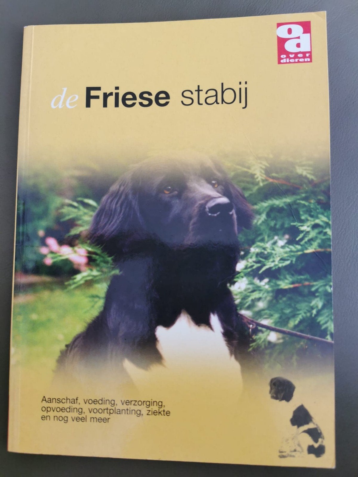 friese stabij boek, Ophalen