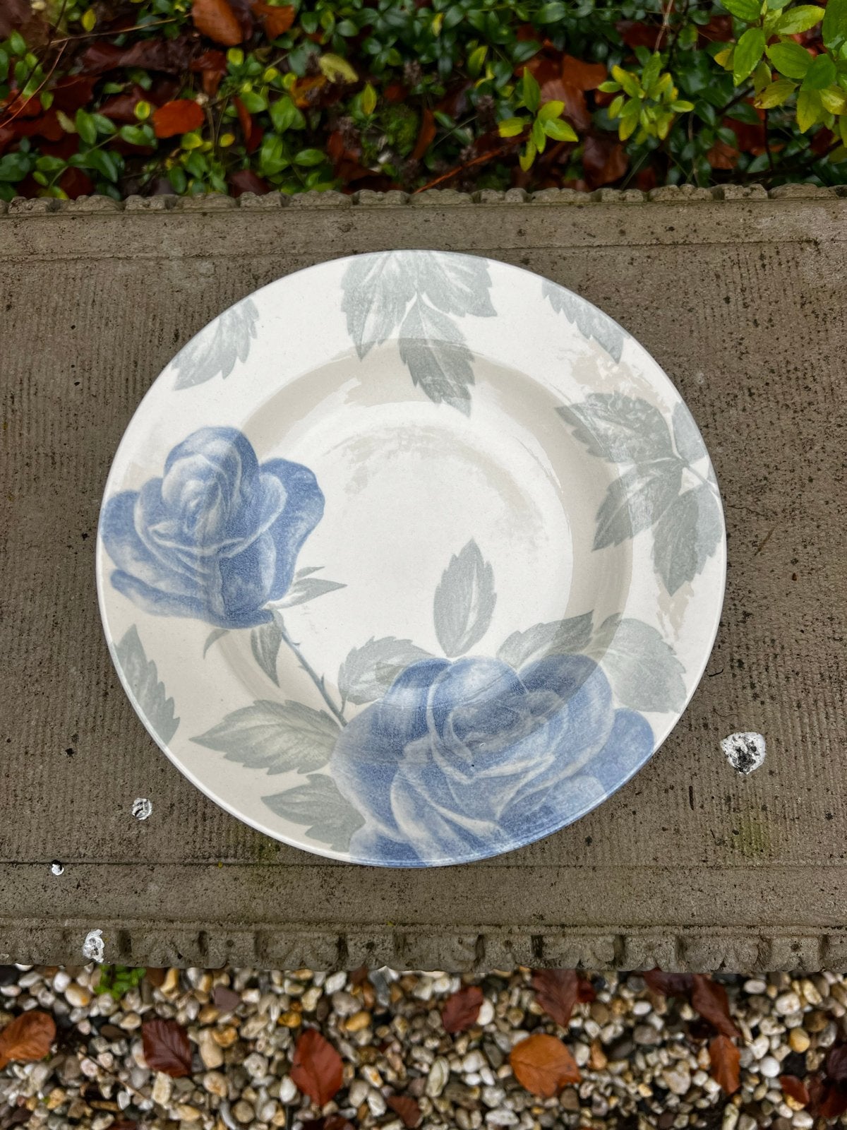 Claytan Diepe Borden Blauwe Rozen (6 stuks), Ophalen of Verzenden, Zo goed als nieuw, Overige merken, Bord(en)