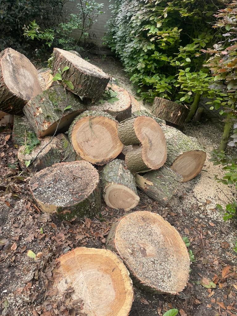 Openhaard hout vers, Tuin en Terras, Haardhout, Minder dan 3 m³, Ophalen