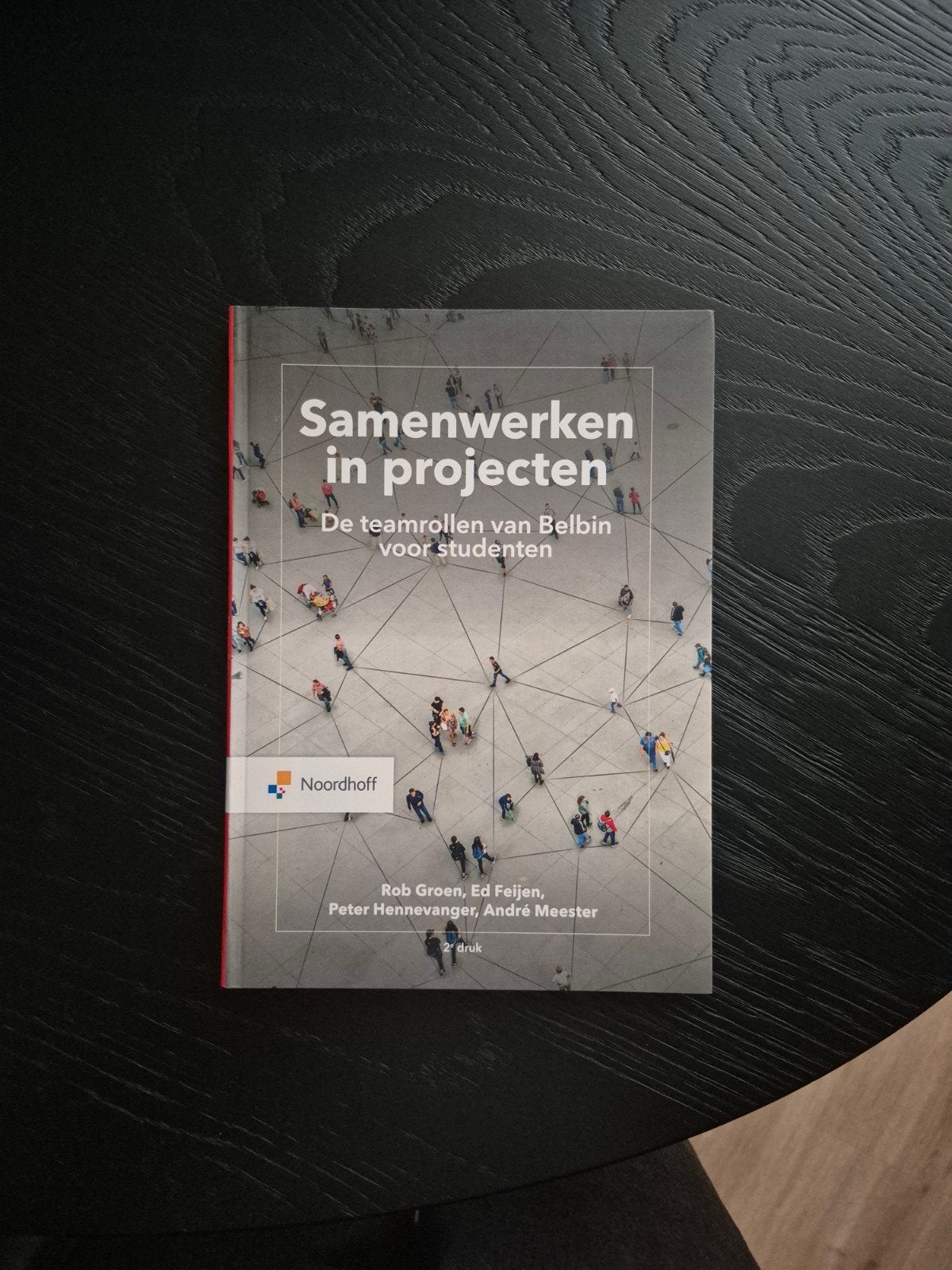 Rob Groen - Samenwerken in projecten., Boeken, Sociale wetenschap, Ophalen of Verzenden, Zo goed als nieuw, Rob Groen; Ed Feijen; Peter Hennevanger; André Meester