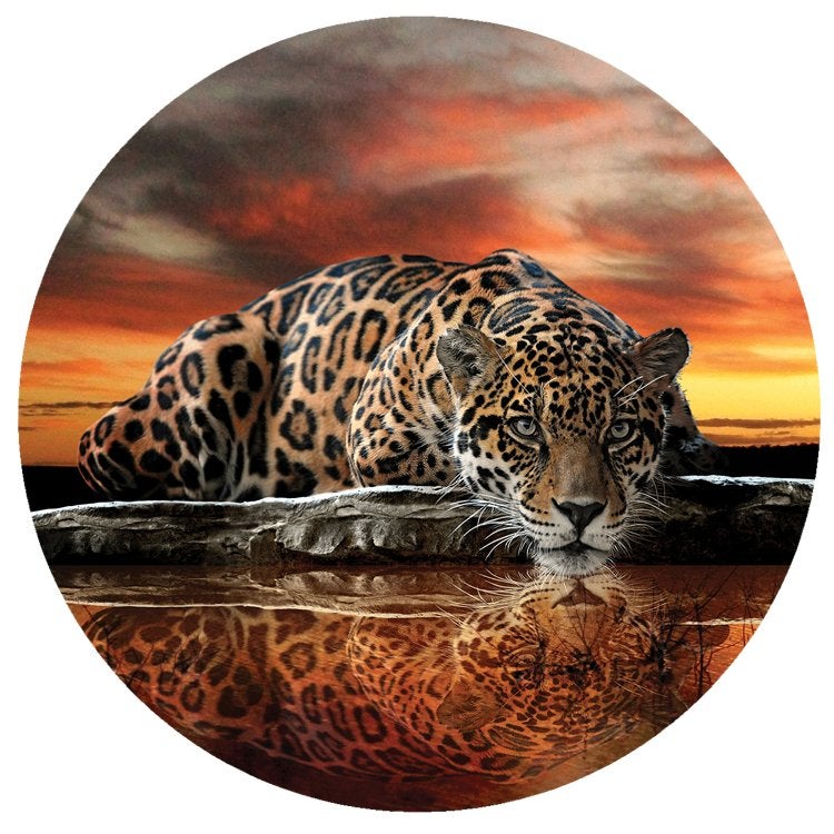 Jaguar Behangcirkel Zwart-wit-kleur, Muurdeco4kids, Verzenden, Nieuw, Wandcirkel