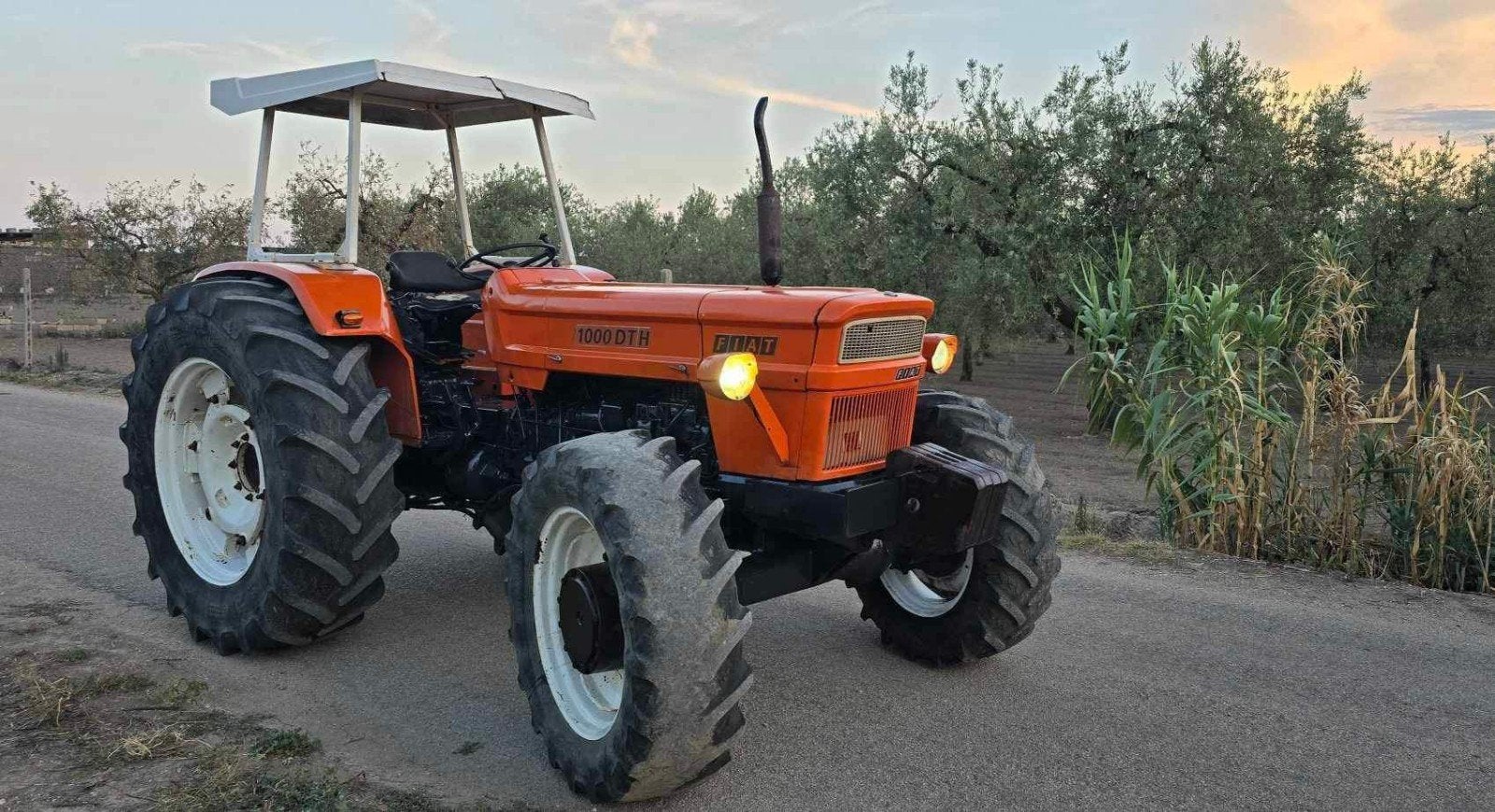 Fiat 1000 DT H 6 cilinder, Zakelijke goederen, Ophalen, Gebruikt, Tot 2500, Tot 80 Pk