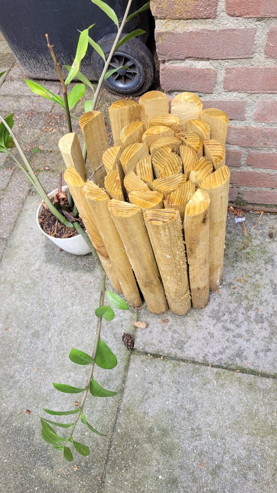 Border ongeveer 120 cm, Tuin en Terras, Ophalen, Rond, Kunststof, Minder dan 30 cm