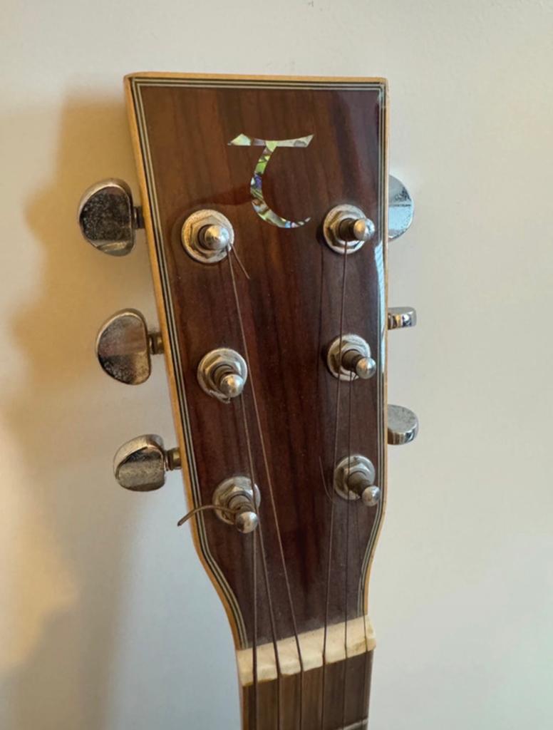 Tanglewood Akoestische Gitaar met Tobago Gitaarhoes, Muziek en Instrumenten, Ophalen, Gebruikt, Western- of Steelstringgitaar