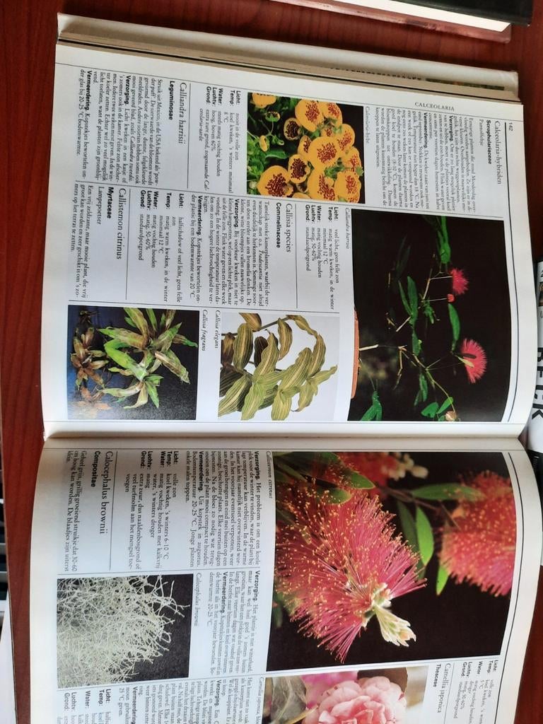 Rob Herwig Het Volledige Kamerplantenboek, Boeken, Ophalen of Verzenden