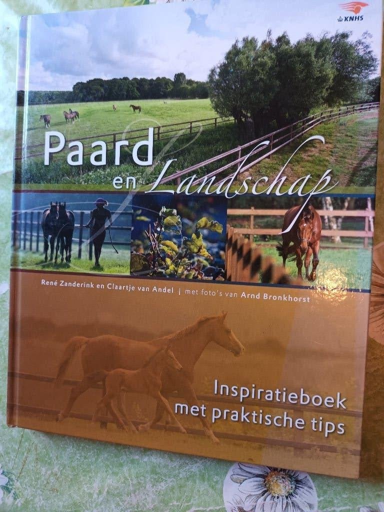 Paard en landschap inspiratieboek Zanderink manege ruiters, Rene Zanderink, Claartje van Andel, Ophalen of Verzenden, Zo goed als nieuw