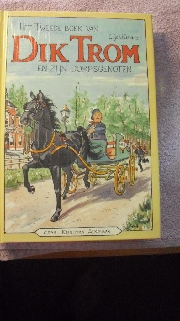 Het tweede boek van DIK TROM en zijn dorpsgenoten, Boeken, Verzenden, Zo goed als nieuw, Fictie