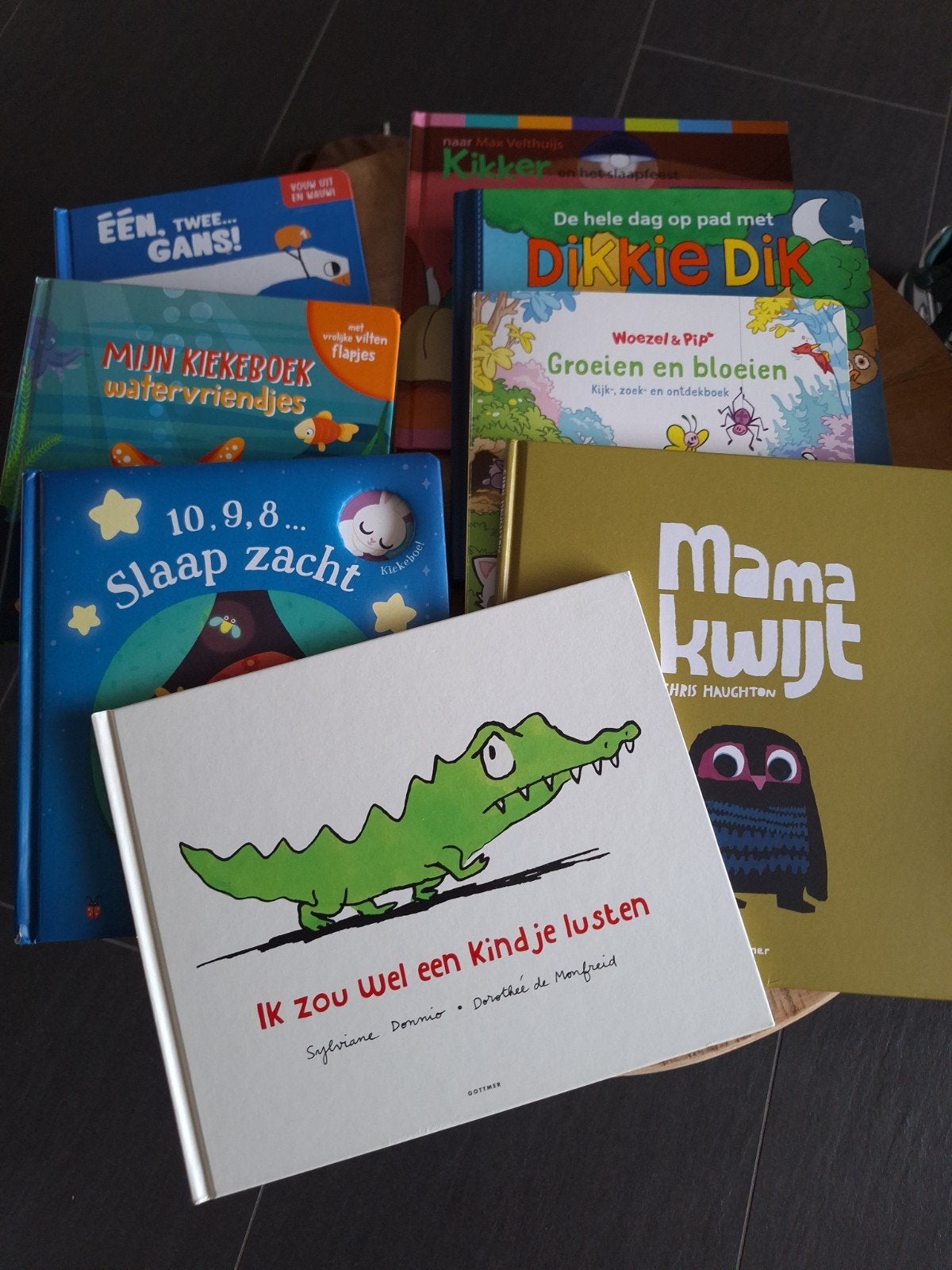 Diverse kinderboeken: prentenboeken en flapjesboeken, Ophalen of Verzenden, Zo goed als nieuw, Sylviane Donnio, Chris Haughton, Max Velthuijs