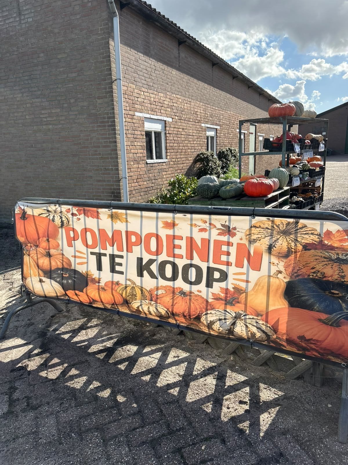 pompoenen en kalebassen te koop, Tuin en Terras, Overige Tuin en Terras, Ophalen