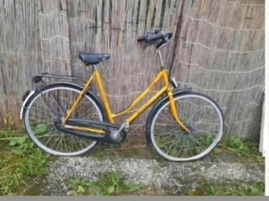 Betrouwbare Gazelle Damesfiets - 28 inch, 160 e vast, 50 tot 53 cm, Ophalen, Zo goed als nieuw, Gazelle