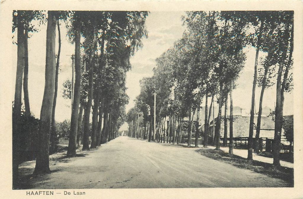 701-082-031 Haaften De Laan, Verzamelen, Ansichtkaarten | Nederland, Verzenden, Voor 1920, Gelderland