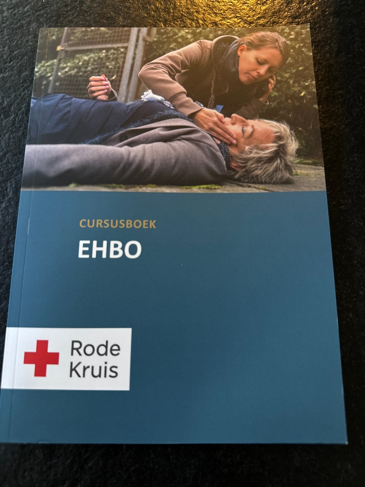 Cursusboek EHBO Rode Kruis - Zo goed als nieuw, Boeken, Ophalen of Verzenden, Gamma, Zo goed als nieuw, Overige niveaus