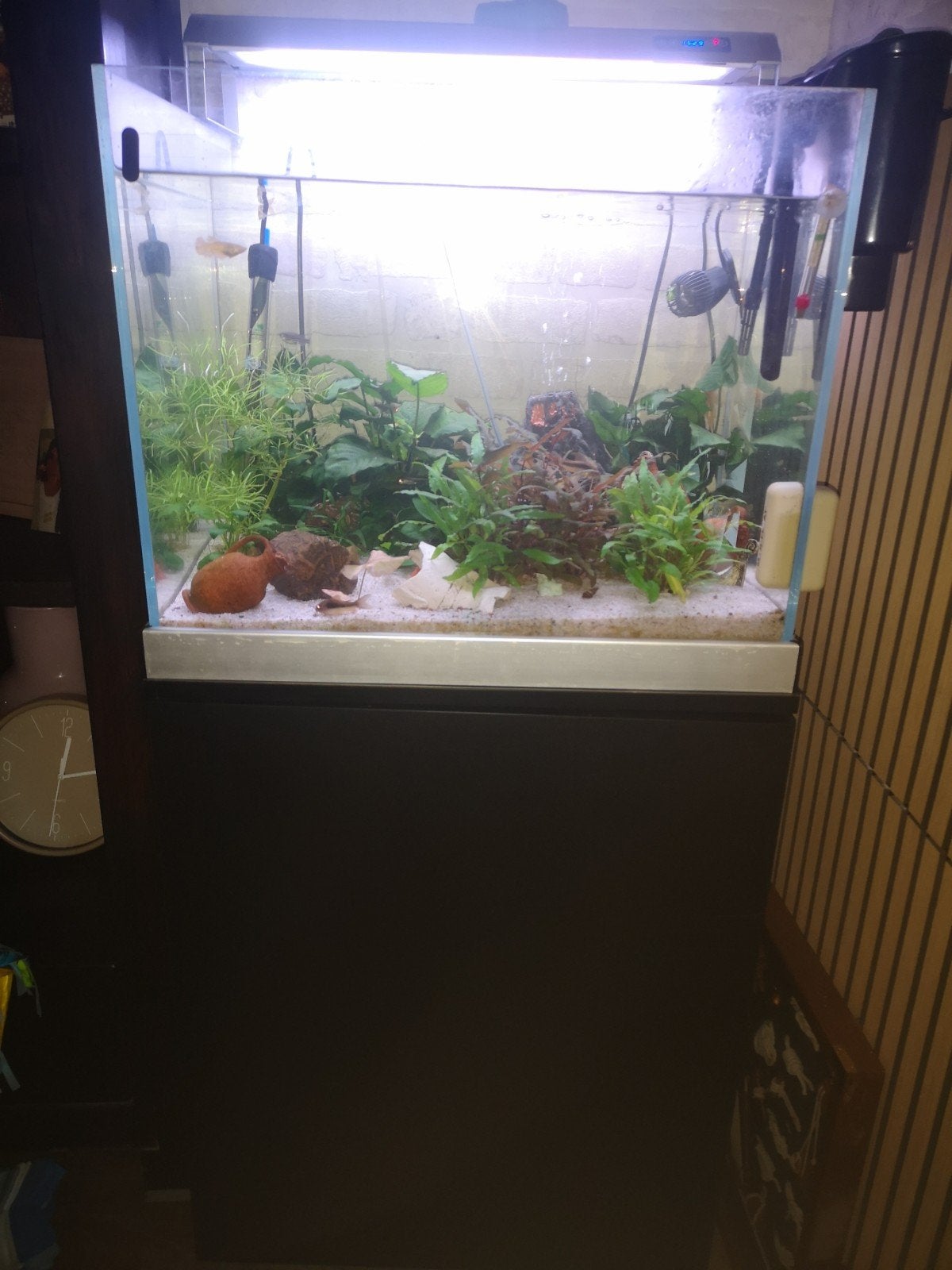 aquarium, Ophalen, Zo goed als nieuw
