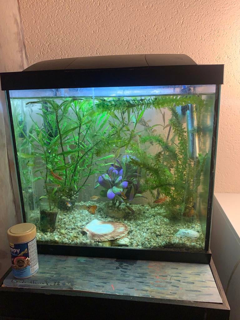 Aquarium 33x32x22cm. Goeie conditie, Ophalen of Verzenden