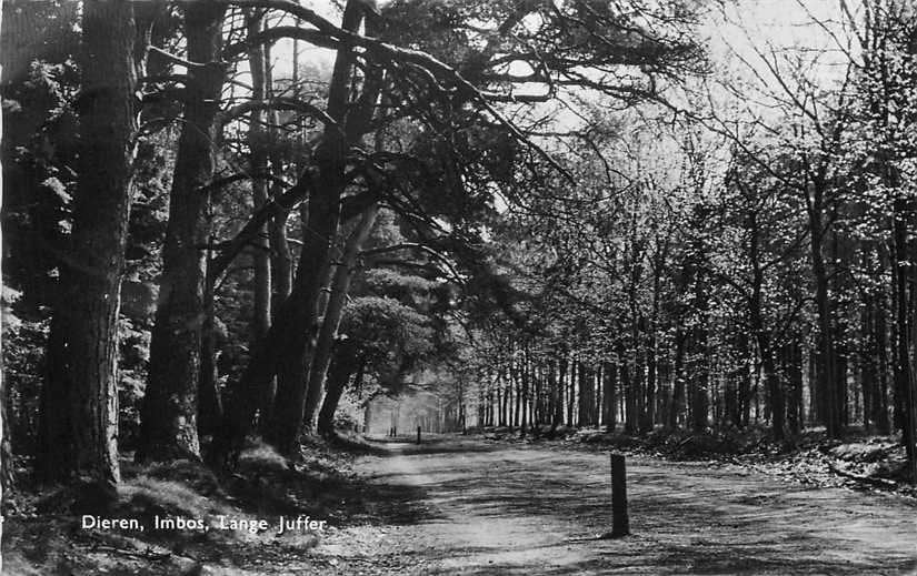 380-899-013 Dieren Imbos Lange Juffer, Verzenden, Voor 1920, Gelderland