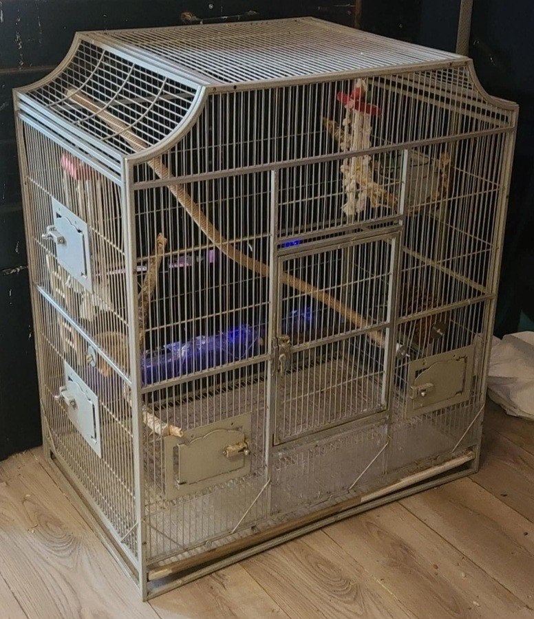 vogelkooi, Ophalen of Verzenden, Gebruikt, Metaal, Vogelkooi