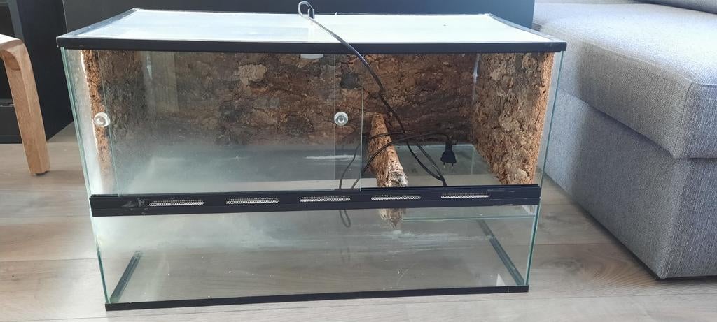 Terrarium 80x40x50 (met 40 liter water gedeelte), Ophalen, Gebruikt, Terrarium of Paludarium