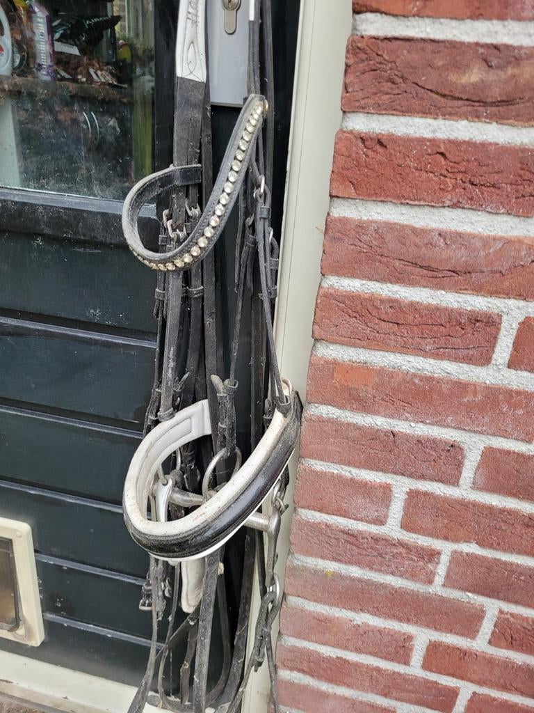Stang en trens hoofdstelaat full, Dieren en Toebehoren, Ophalen of Verzenden
