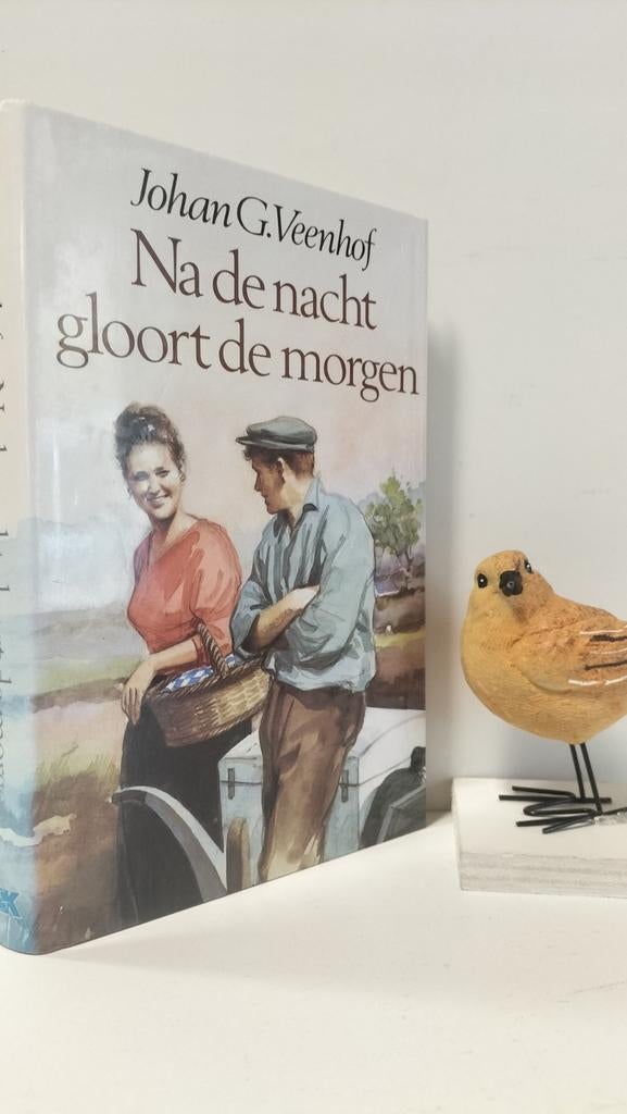 Veenhof, Johan G.; Na de nacht gloort de morgen, Boeken, Ophalen of Verzenden, Gelezen