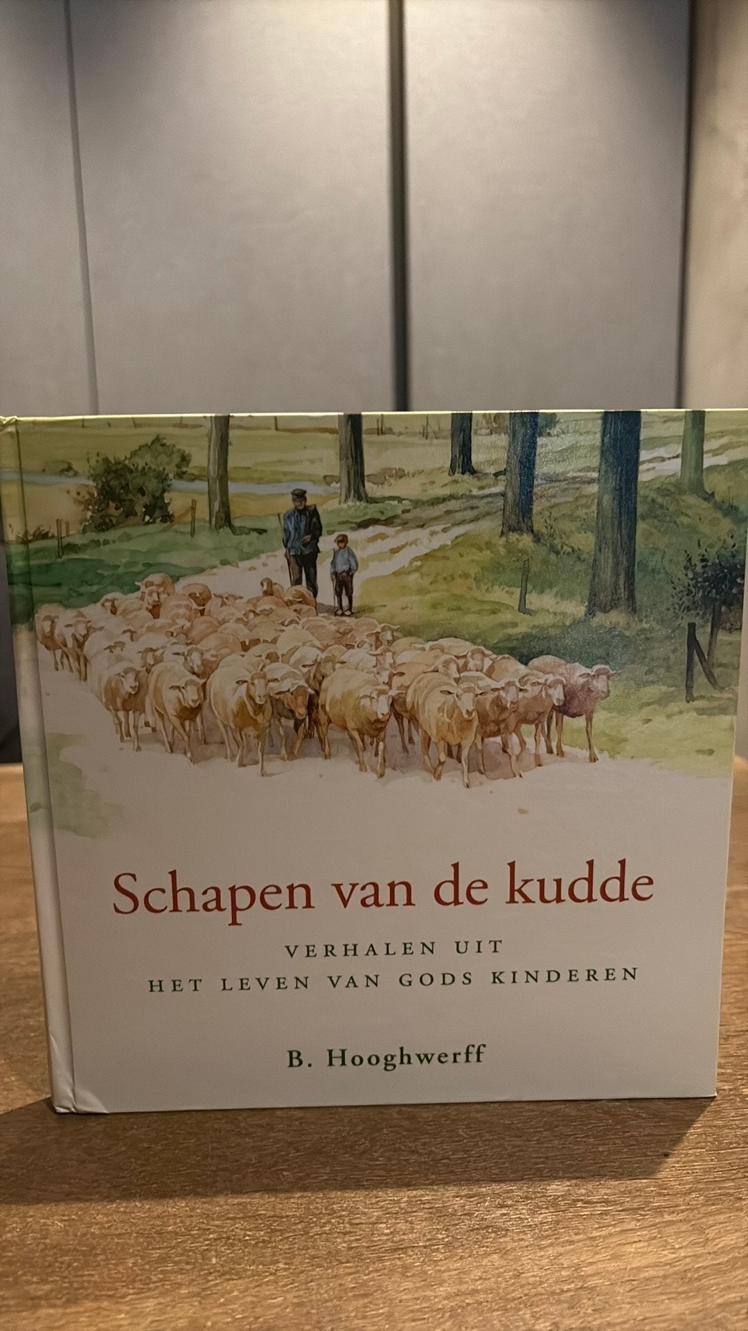 B. Hooghwerff - Schapen van de kudde, Ophalen of Verzenden, Zo goed als nieuw, B. Hooghwerff