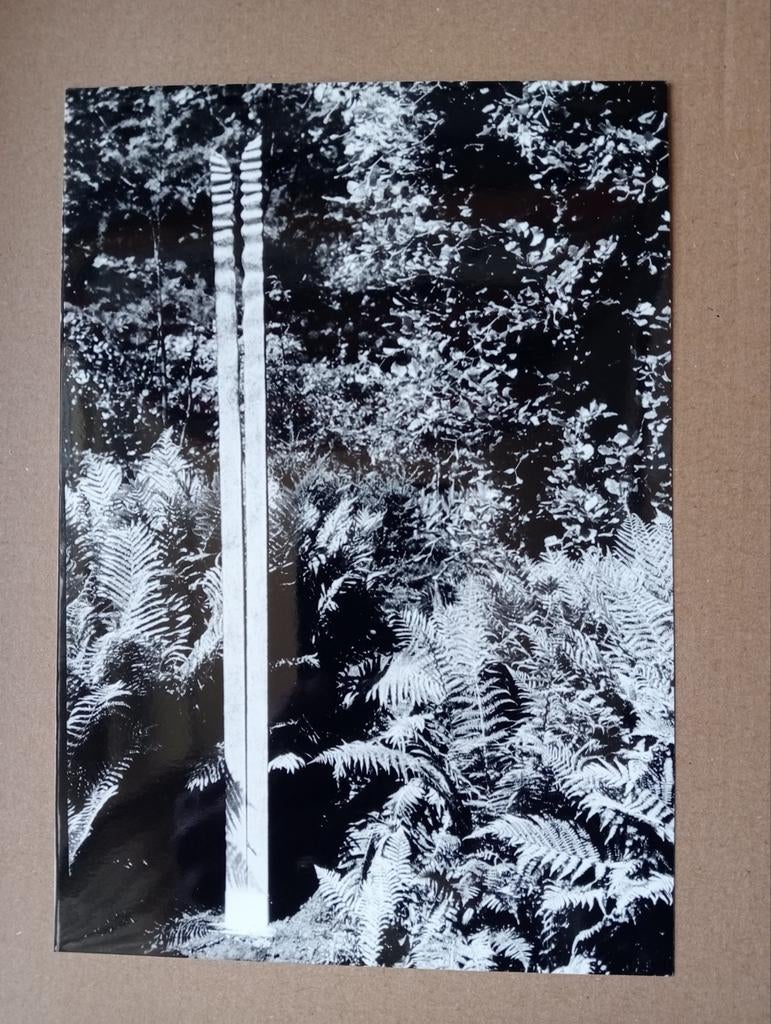 Jan Dekker Serpentino persfoto jaren 80/90, Antiek en Kunst, Ophalen of Verzenden