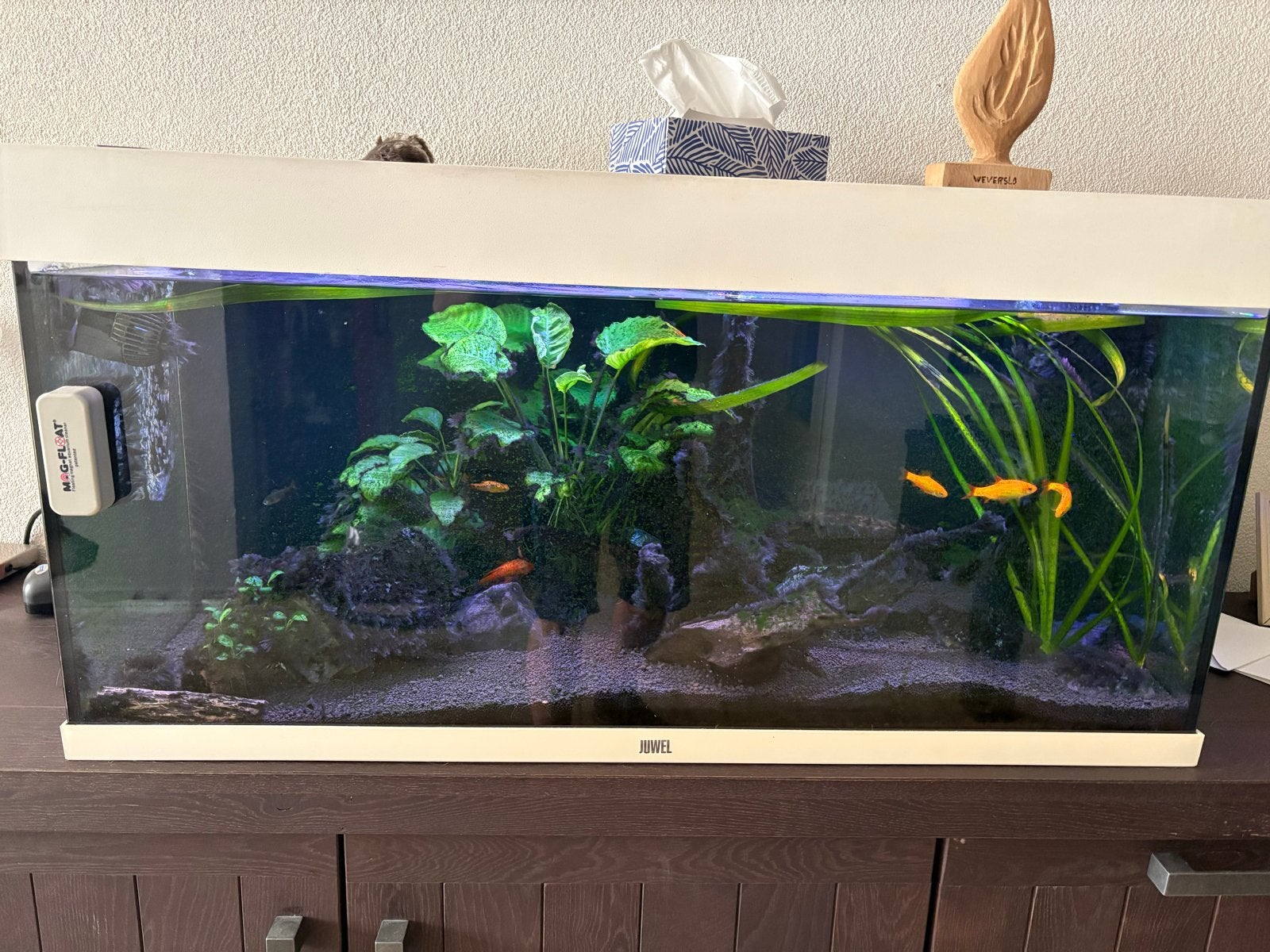 Juwel aquarium 180 liter compleet met juwel led verlichting, Ophalen, Zo goed als nieuw, Leeg aquarium