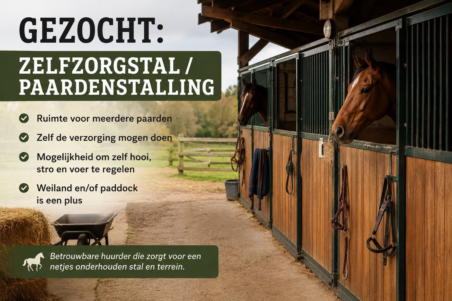 Prive stalling gezocht, Dieren en Toebehoren, Stalling en Weidegang, Stalling