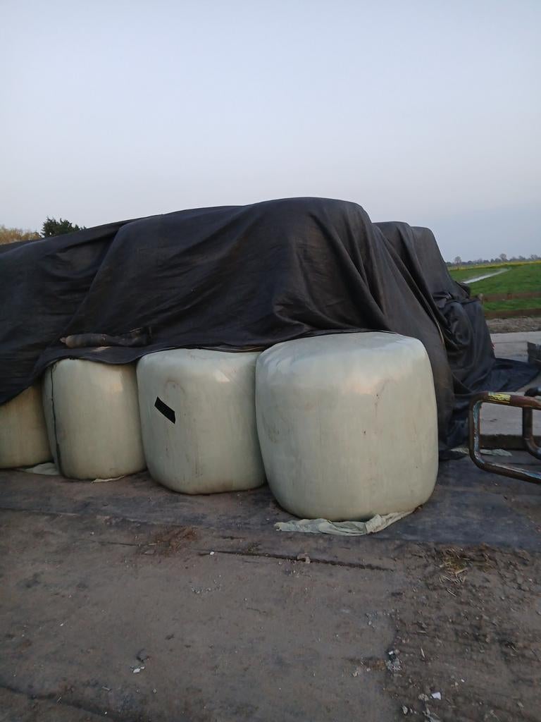 Grasbalen 2e snee 2025 en aantal hooibalen grof, Dieren en Toebehoren, Dierenvoeding, Ophalen of Verzenden
