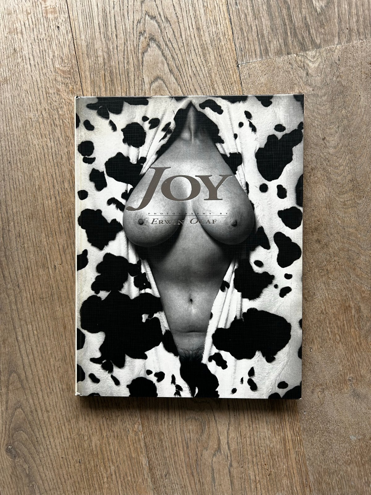 Fotoboek 'Joy' van Erwin Olaf - Eerste druk, Ophalen of Verzenden, Gelezen, Fotografen