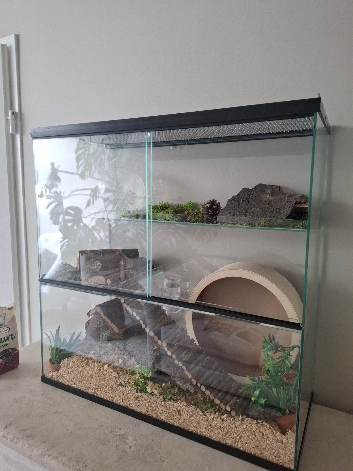 hamster terrarium, hamsterscaping, Ophalen, Kooi, Gebruikt, 60 tot 90 cm
