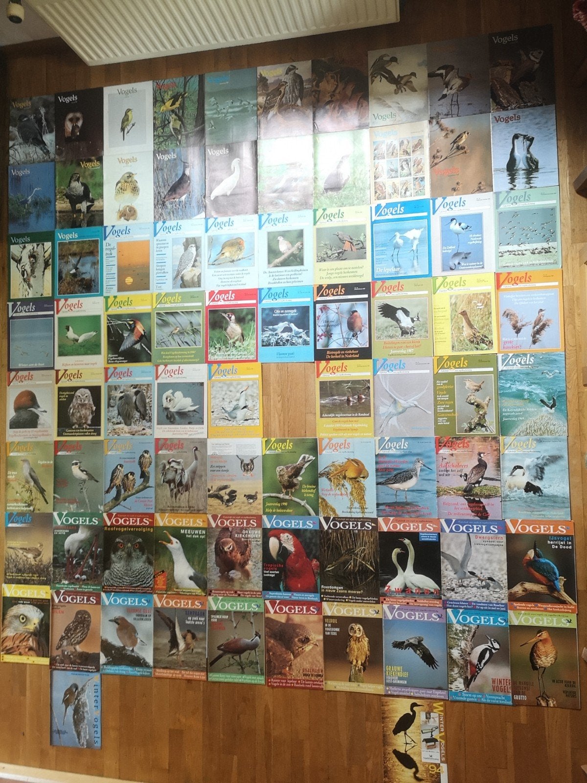 Vogels magazines vanaf 1982, Ophalen of Verzenden, Zo goed als nieuw, Wetenschap en Natuur