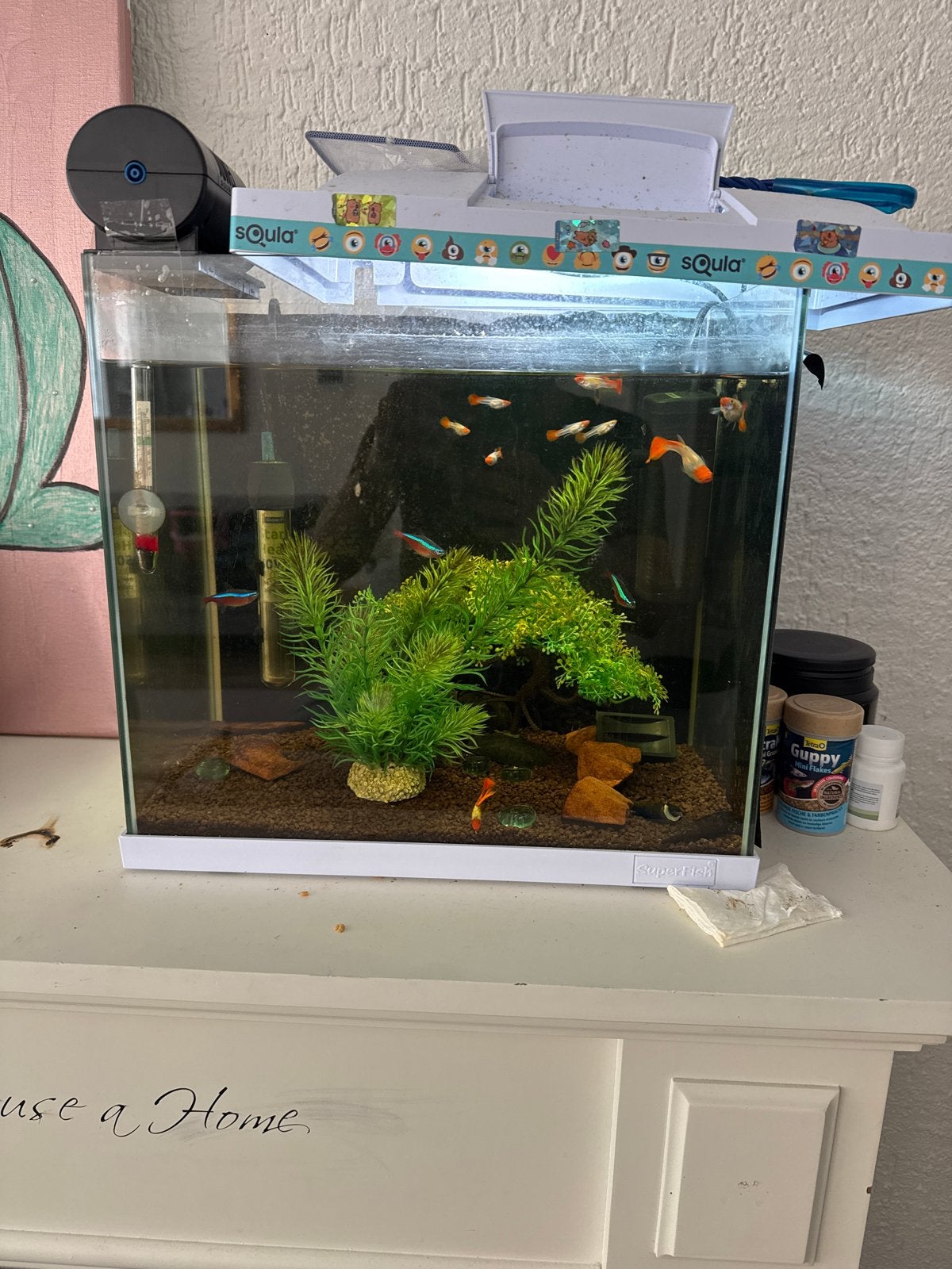 Aquaria met vissen en waterschildpad met toebehoren, Dieren en Toebehoren, Vissen | Aquaria en Toebehoren, Ophalen, Overige typen