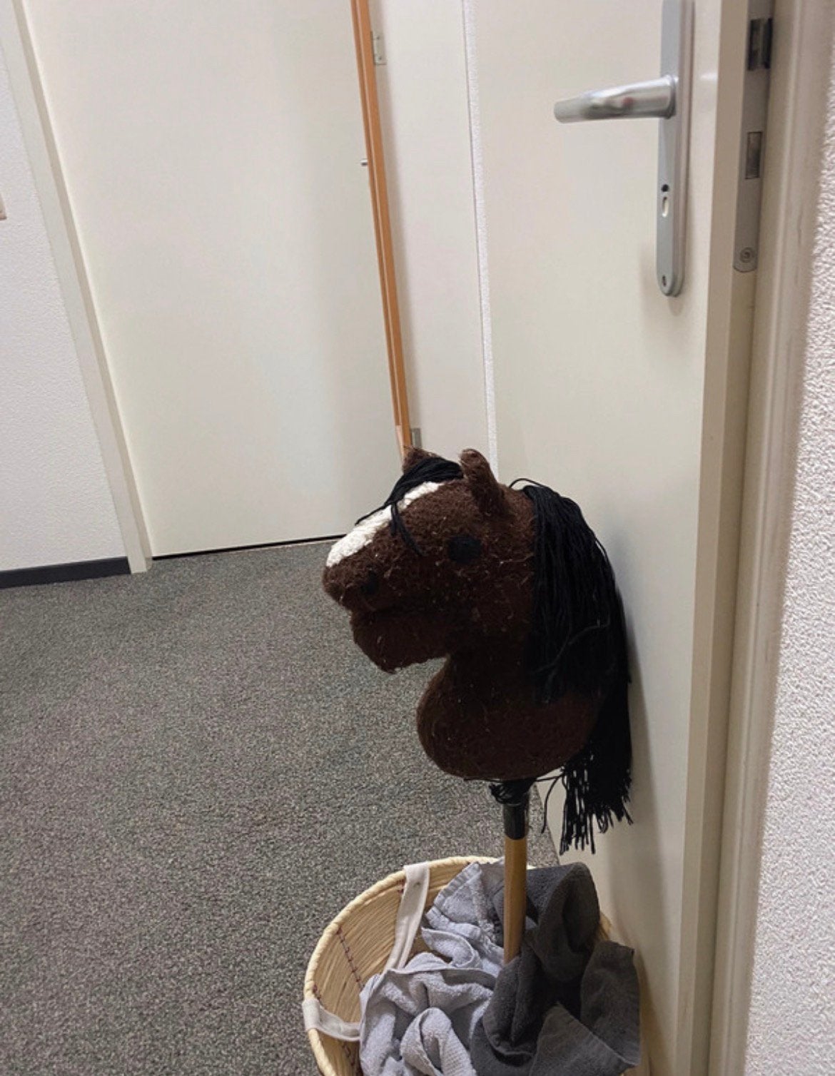 Hobby horse, Ophalen of Verzenden, Gebruikt