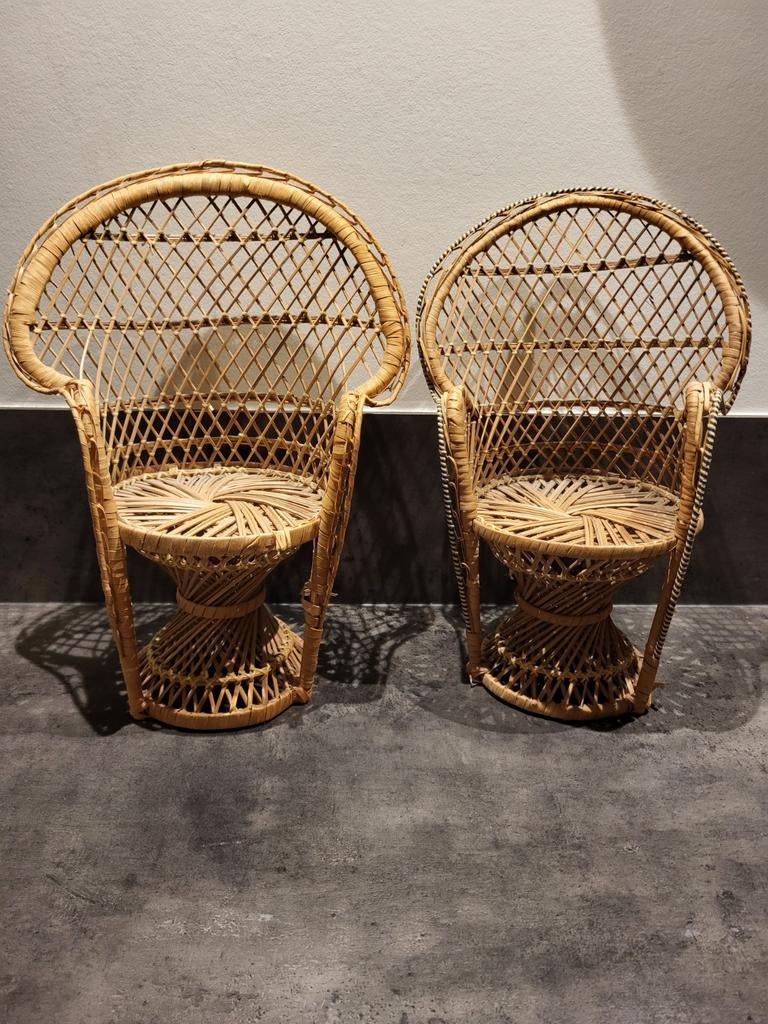 Twee rieten poppen stoelen, Ophalen of Verzenden, Gebruikt, Stoel(en)