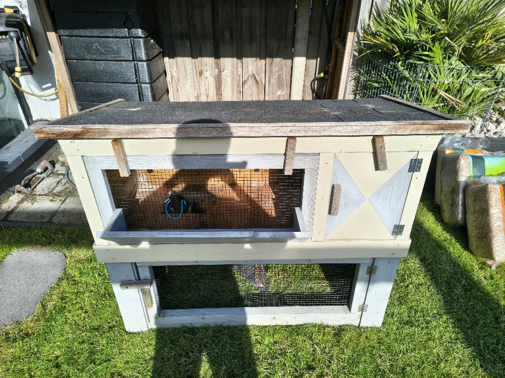 Massief houten konijnenhok te koop inclusief vele extra's., Dieren en Toebehoren, Ophalen, Gebruikt, Overige typen