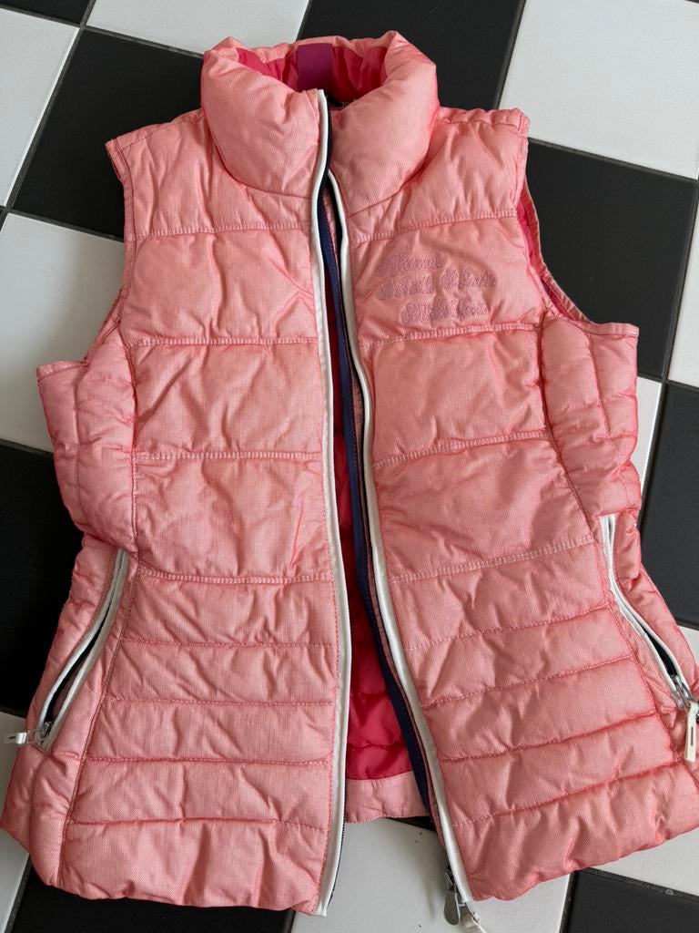 Gaastra Bodywarmer ~ z.g.a.n.~ maat L = 40., Kleding | Dames, Bodywarmers, Ophalen of Verzenden, Zo goed als nieuw, Maat 38/40 (M)