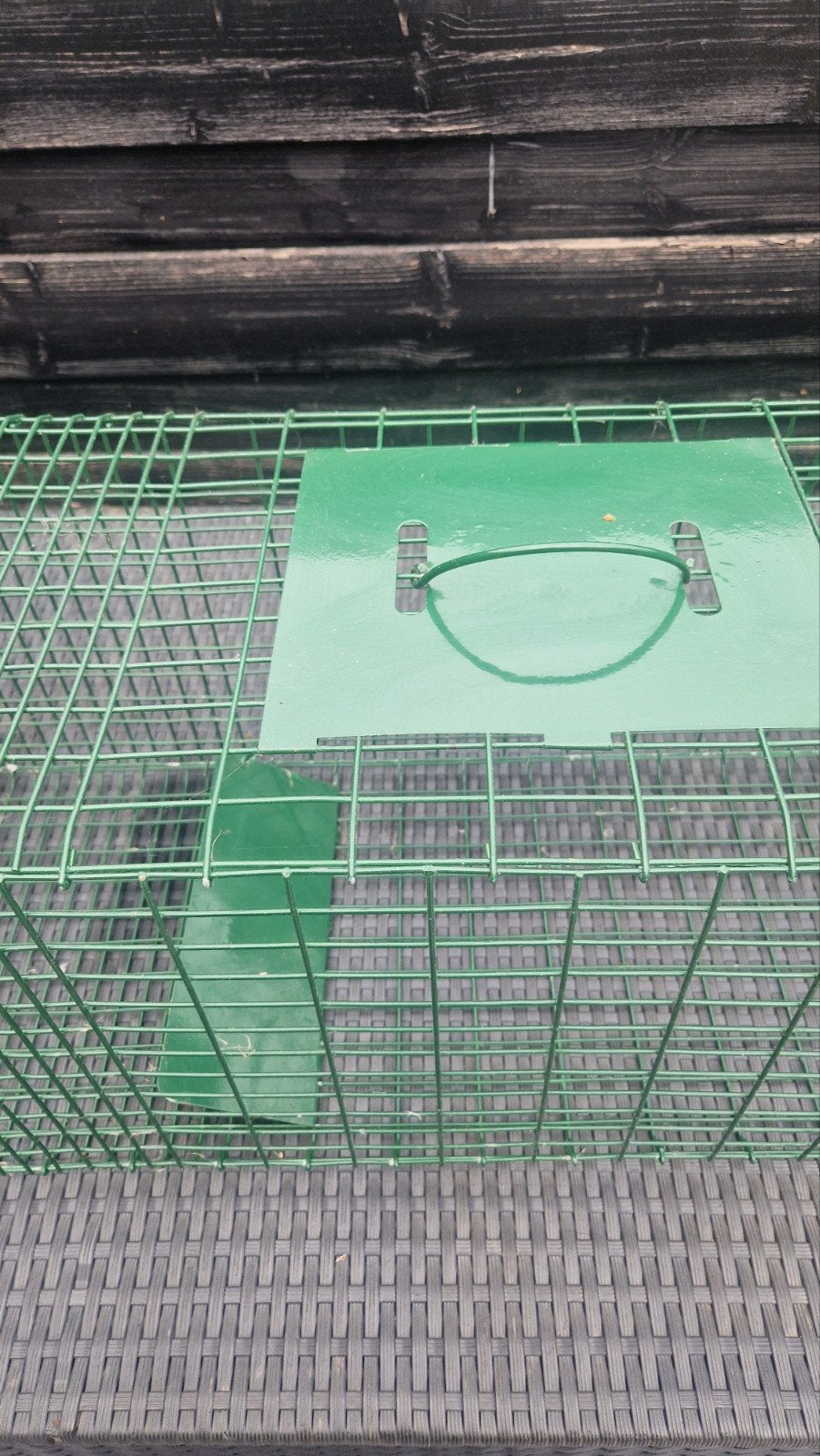 Katten  / Marters / Ratten  Vang Kooi, Dieren en Toebehoren, Ophalen, Nieuw