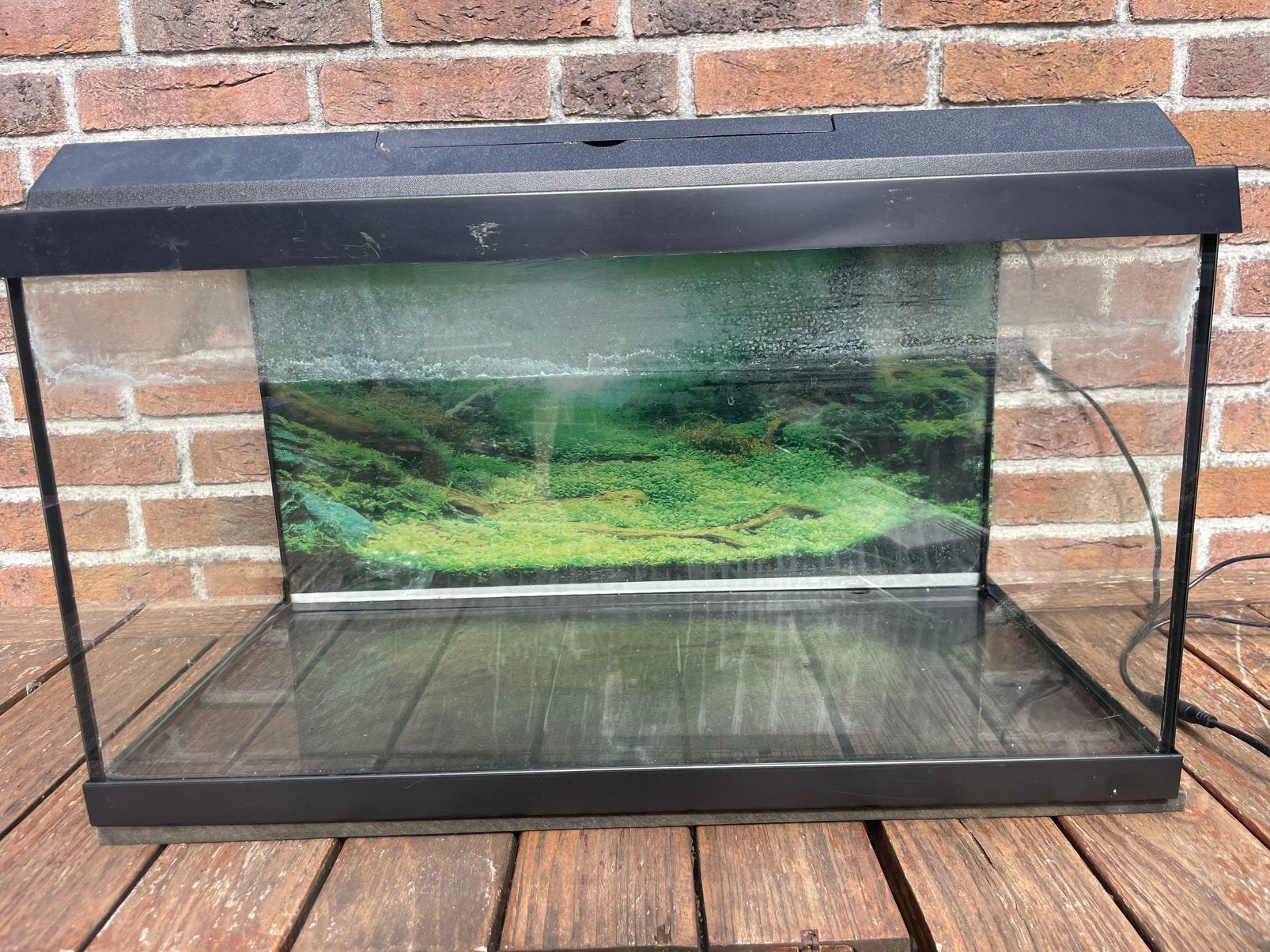 Aquaruim met zuurstoffilter, Ophalen, Gebruikt, Inclusief deksel, Leeg aquarium