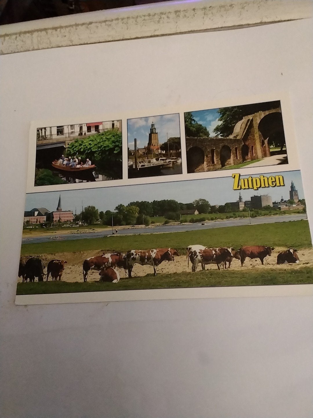 Oude Ansichtkaart Zutphen - 1922.  koeien, Ophalen of Verzenden, 1980 tot heden, Gelopen, Gelderland