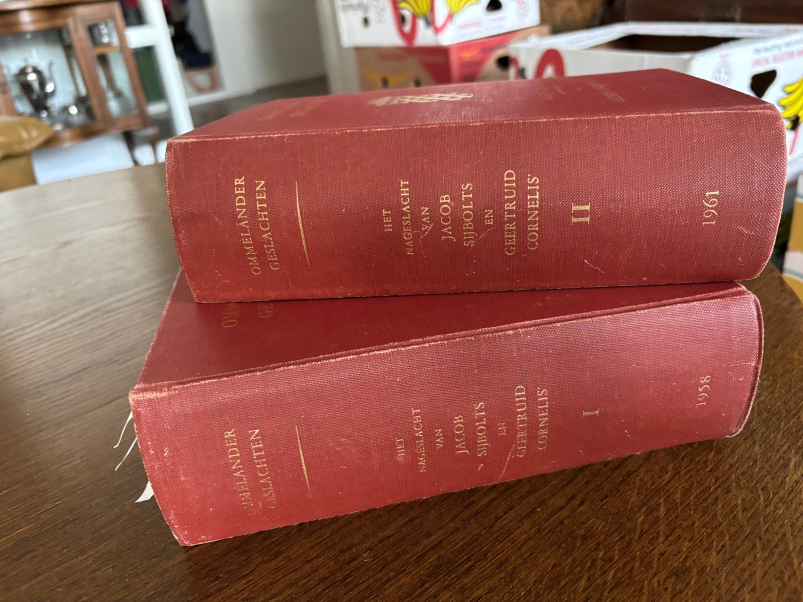 Boeken genealogie Ommelander geslachten, Boeken, Ophalen of Verzenden, 19e eeuw, Gelezen