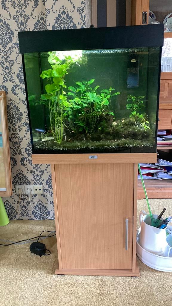 Jewel aquarium, Ophalen, Gebruikt, Leeg aquarium, Juwel