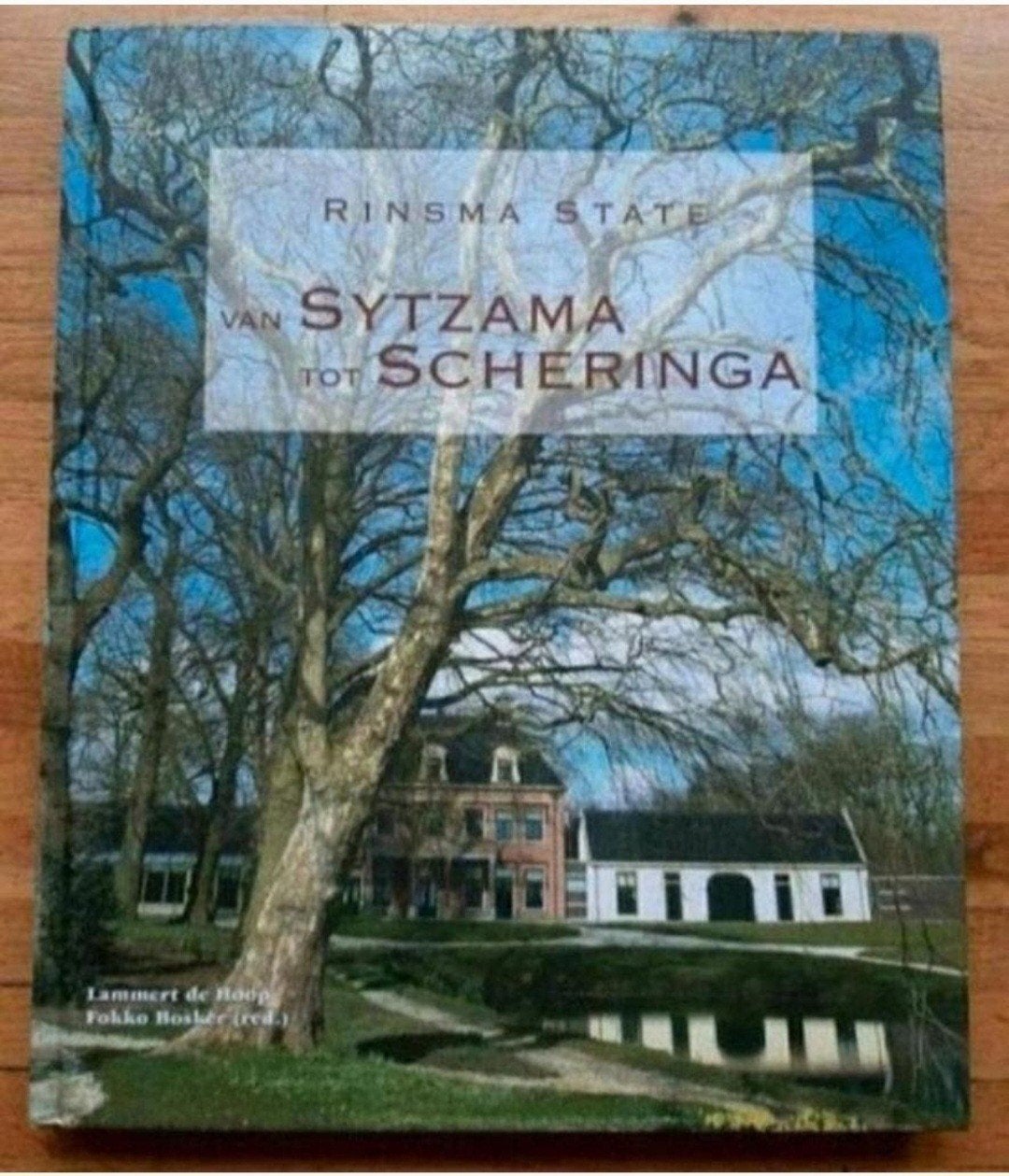Rinsma state van stins naar state
Van sytzama tot Scheringa, Ophalen of Verzenden, Zo goed als nieuw