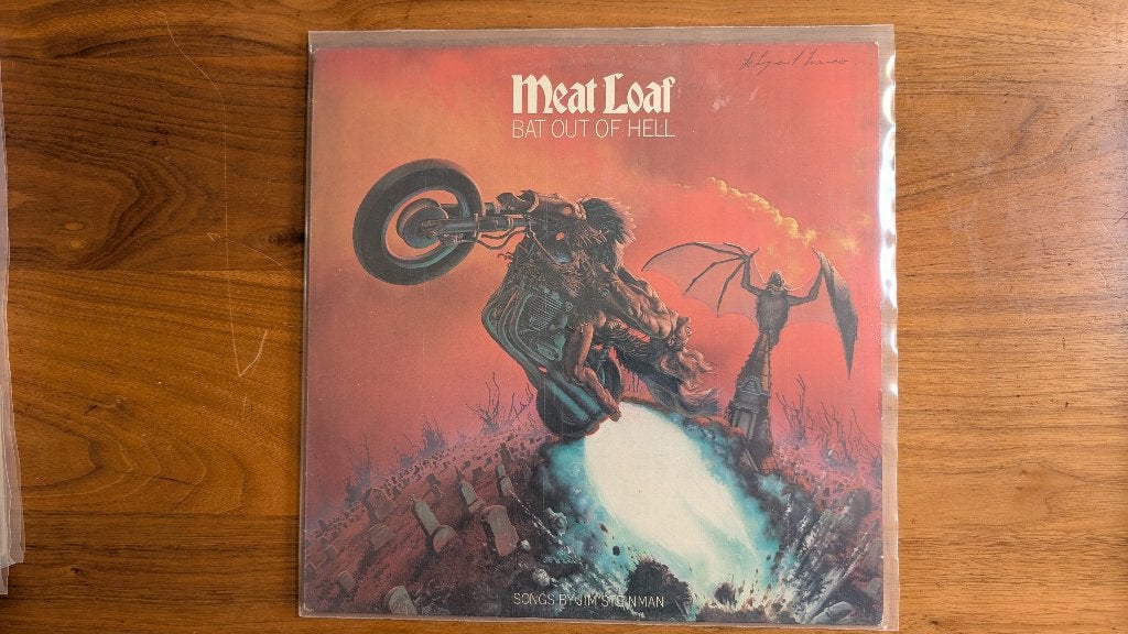 Meat Loaf - Bay Out Of Hell, Cd's en Dvd's, Vinyl | Rock, Inclusief binnenhoes, Gebruikt, Overige formaten, Ophalen of Verzenden