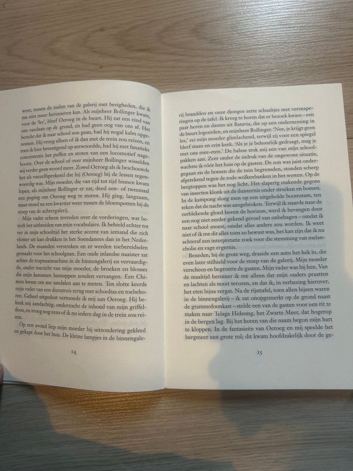 Oeroeg - Hella S. Haasse (Boek), Ophalen of Verzenden, Gelezen, Nederland