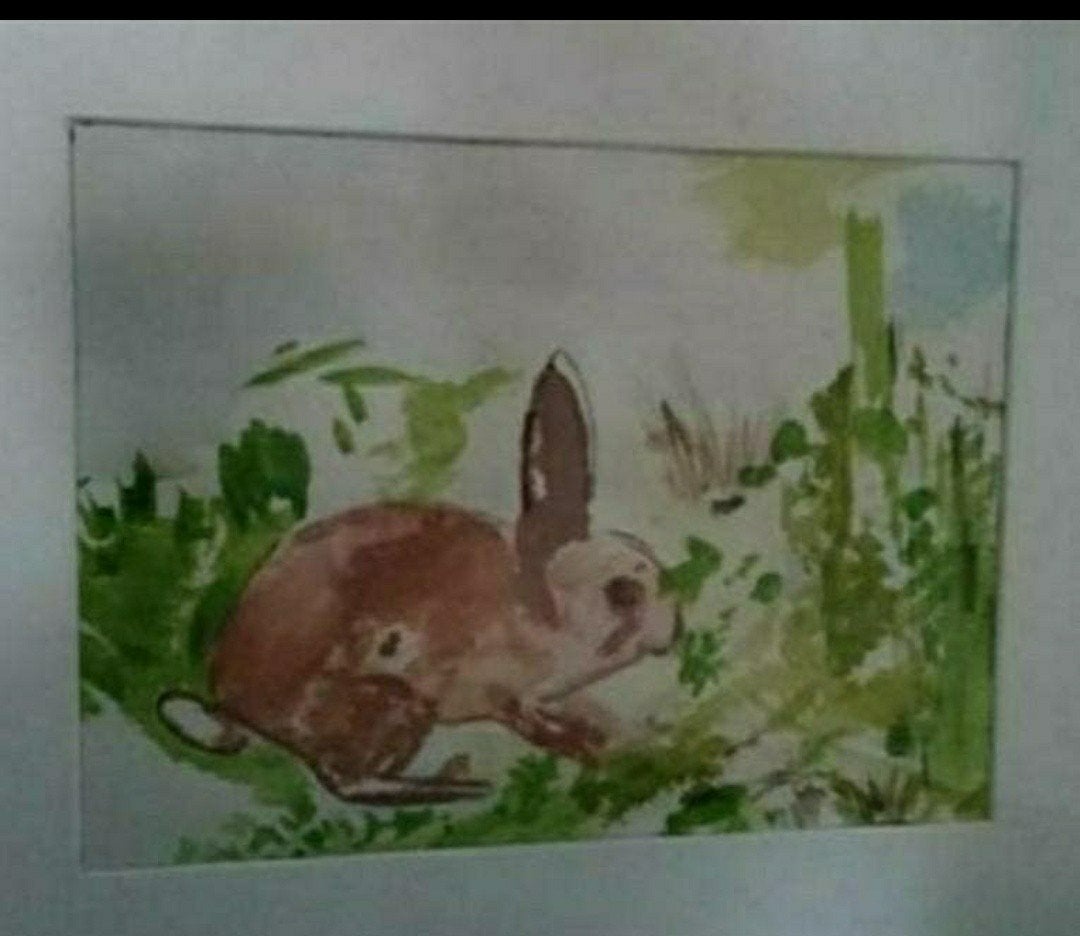 KUIT,MOUISSI,Konijn,natuur,glas,lijst,bos,dier,gras,Laren NH, Eigen ontwerp, 30 cm, Schilderij, Meerkleurig